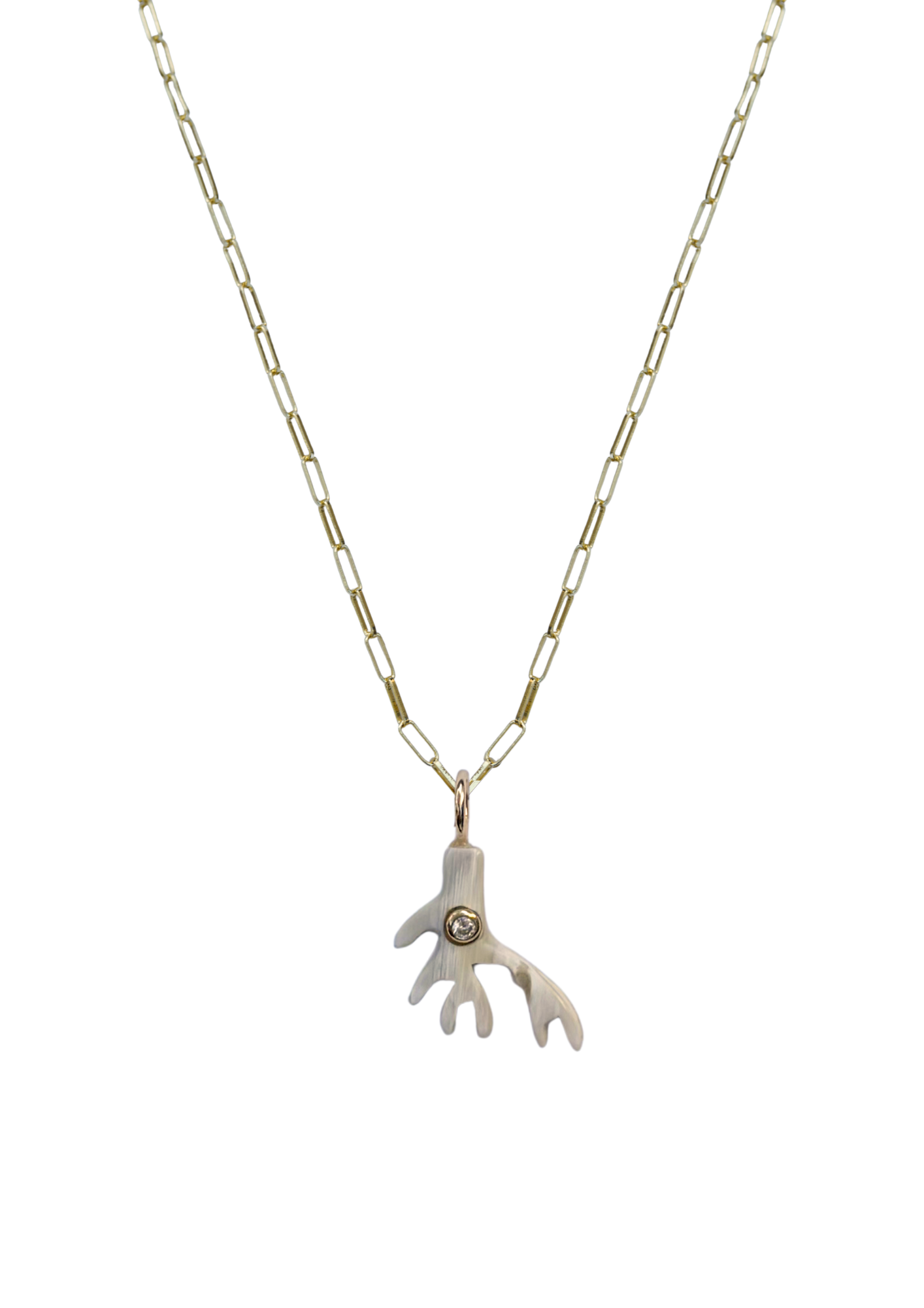 Necklace with a unique Coral charm pendant on a white background