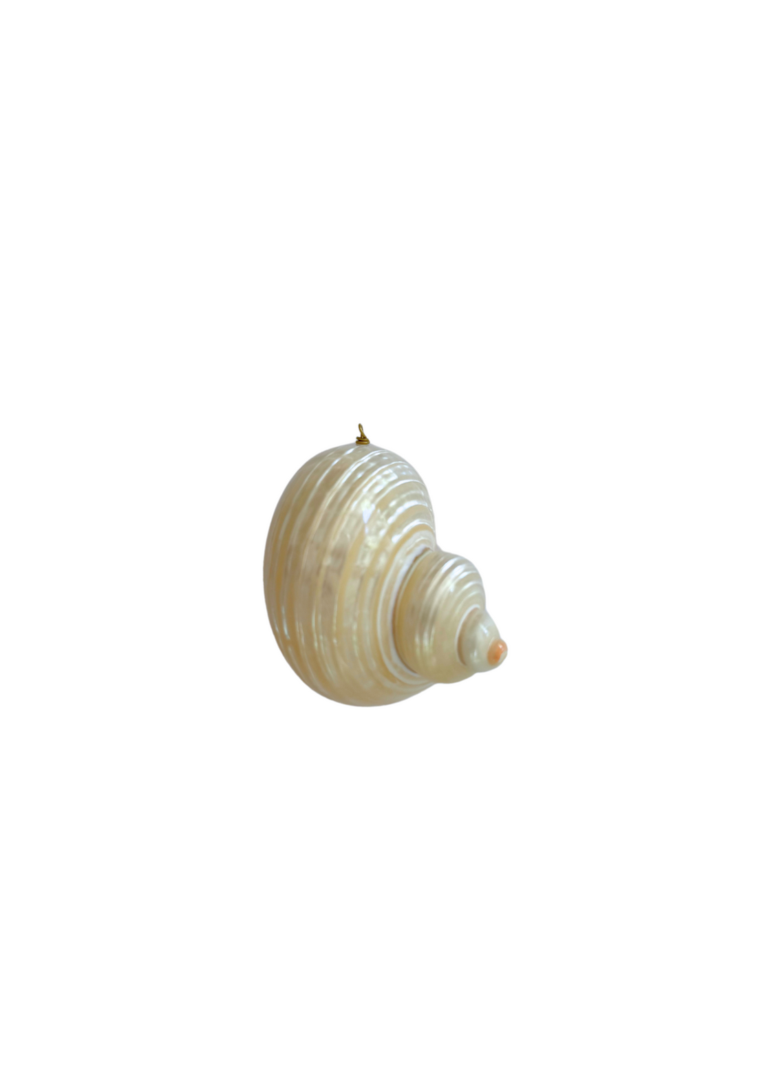 Shell Charm
