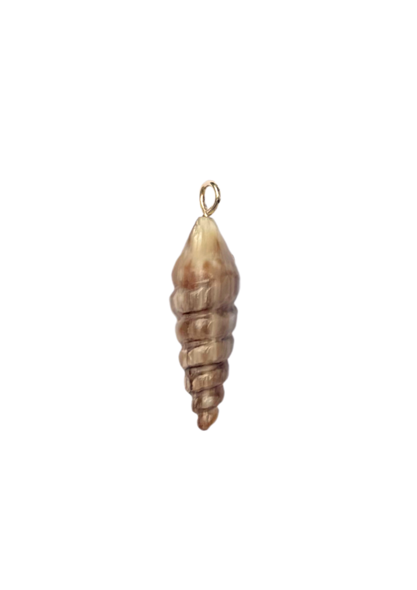 Grand Embellished Spotted Sea Snail Shell Charm