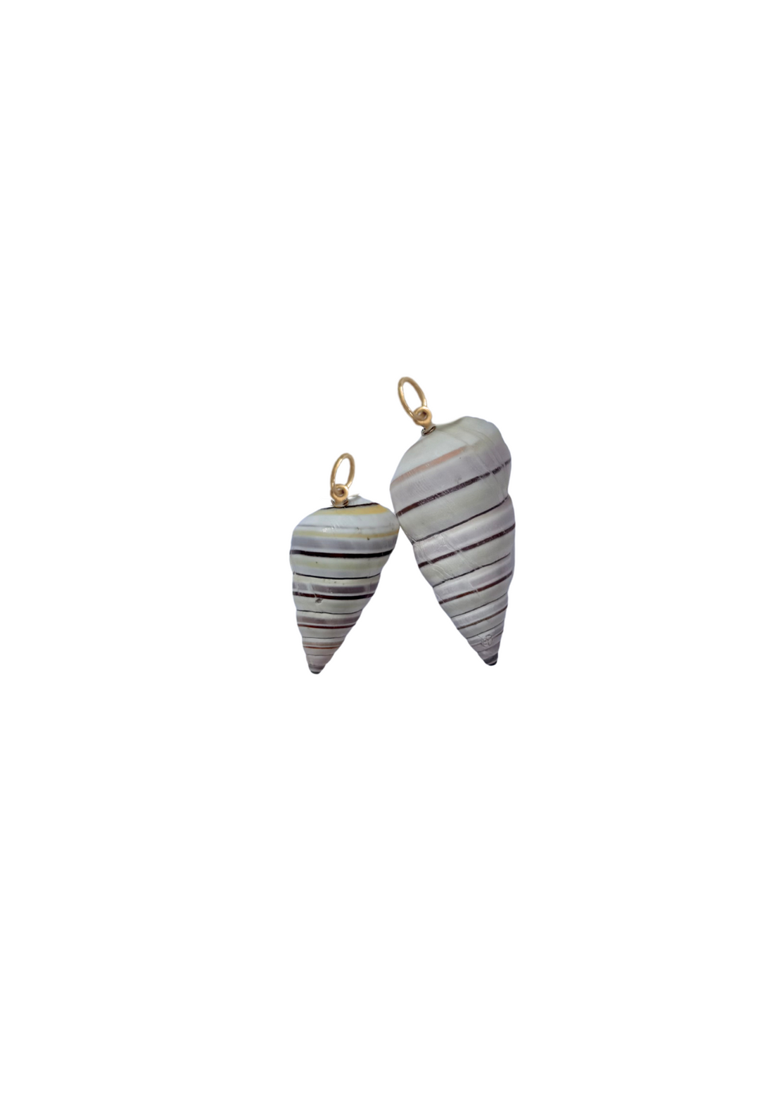 Petite Candy Seashell Charm