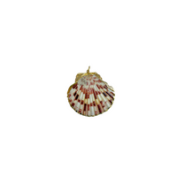 Moyenne Pink Shell Charm