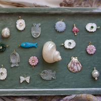 Shell Charm