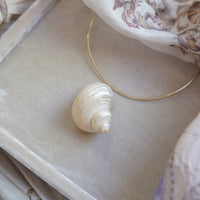 Shell Charm