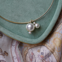 Pre order: Golden Collar Necklace