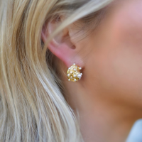 Golden Embellished & Pearly Seashell Studs