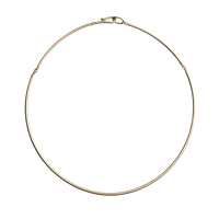 Pre order: Golden Collar Necklace
