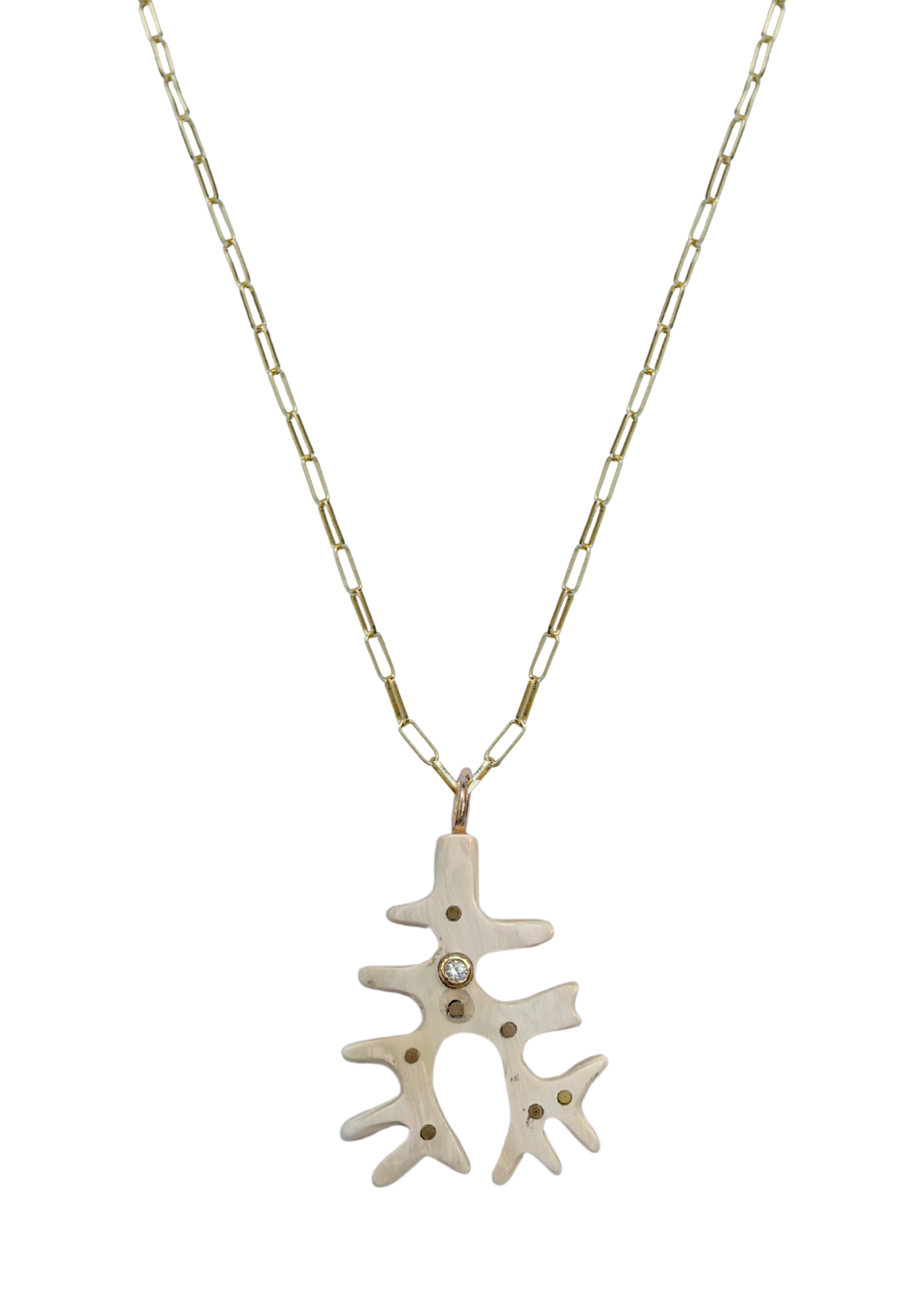 Necklace with a unique pendant on a white background