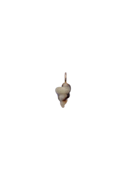 Shell-shaped necklace pendant on a white background