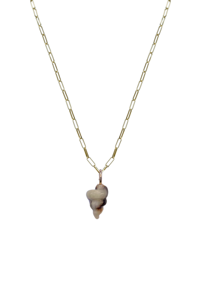Necklace with a shell pendant on a white background