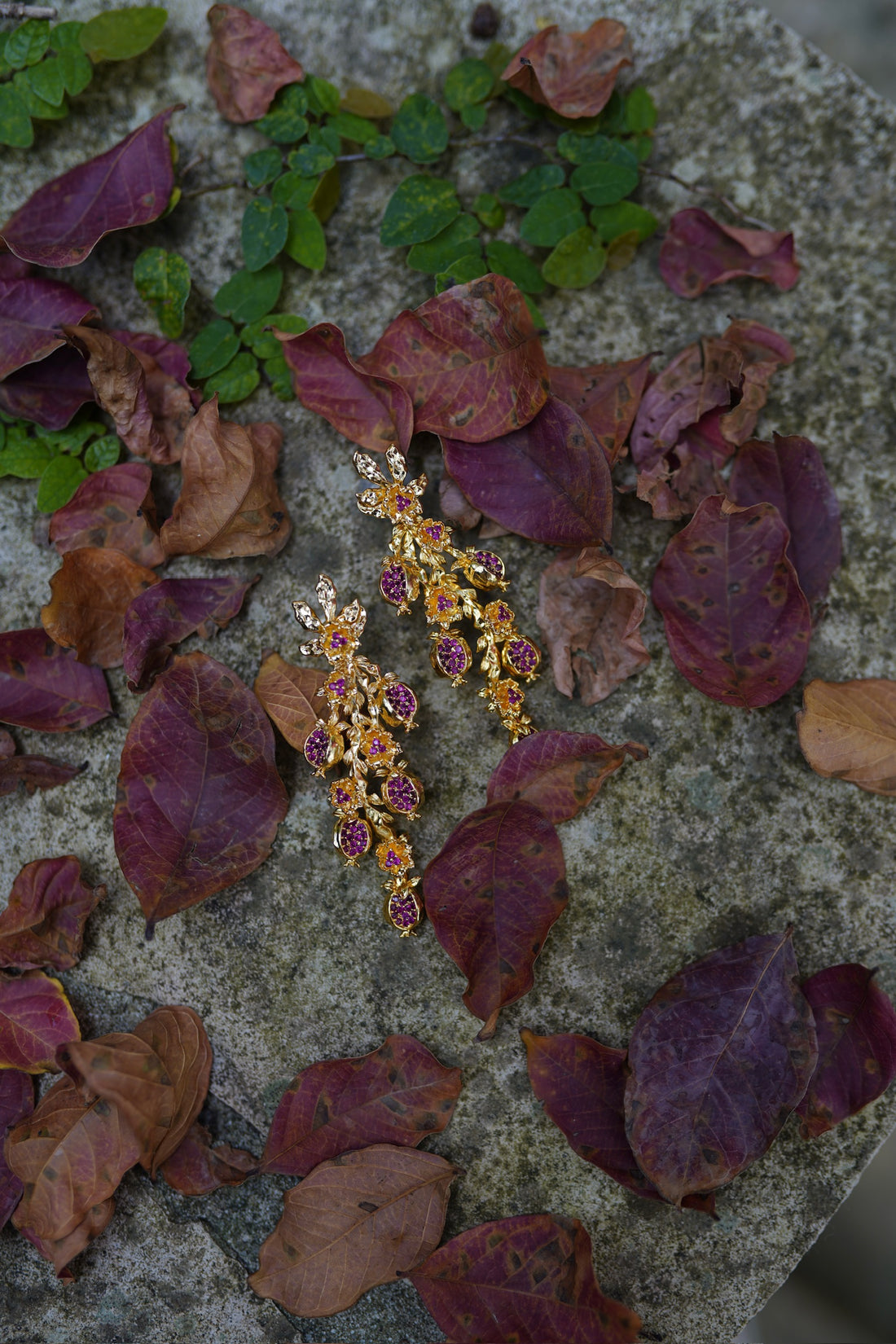 Pomegranate Vines