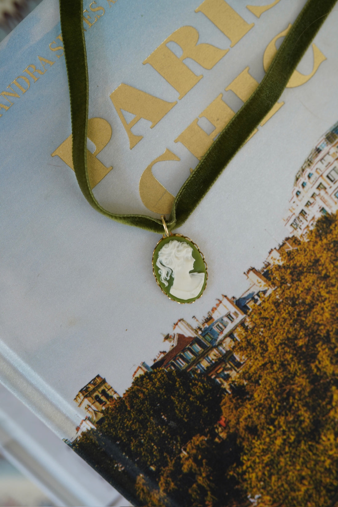 Sage Velvet & Thyme Cameo Choker