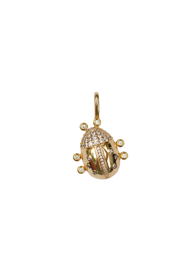 Ladybug Charm