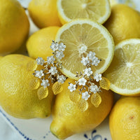 Amalfi Lemon Vine