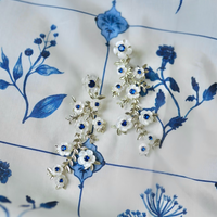 blue & white belgravia Blossom chinoiserie vine
